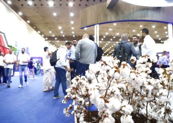 (Foto: Thiago Gaspar/Governo do Ceará)