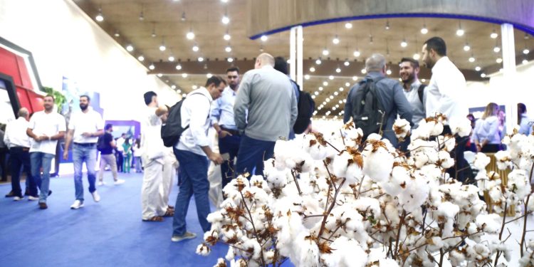 Ceará busca retomar protagonismo na produção de algodão, afirma Elmano de Freitas