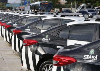 (Foto: Tiago Stille/Governo do Ceará)