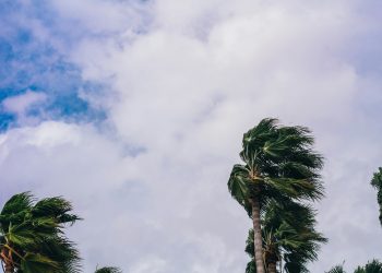 (Foto: Sean Foster/Unsplash)