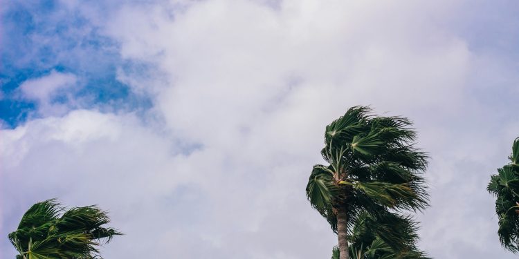 Inmet emite alerta de vendavais para mais de 100 municípios no Ceará até segunda-feira (9); veja locais