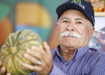 (Foto: Thiago Gaspar/Governo do Ceará)