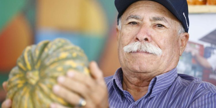 Plano Safra 2024/2025 prevê R$ 1,8 bilhão para a agricultura familiar no Ceará