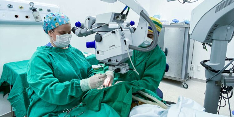 Ceará é o primeiro no ranking brasileiro de transplantes de córnea; estado também lidera transplantes de fígado e coração no Nordeste