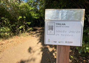 (Foto: Divulgação)