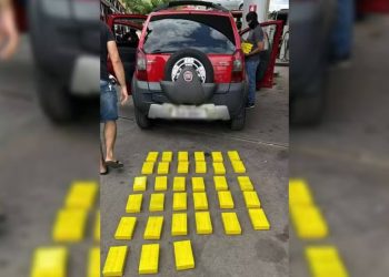 Polícia apreendeu 51 quilos de cocaína em carro transportado em caminhão-cegonha (Foto: Divulgação)