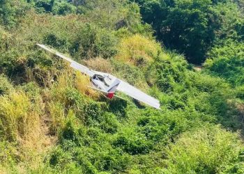 Piloto sentiu que o motor apresentou problemas e fez pouso forçado na mata (Foto: Lorena Tavares/SVM)