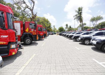 (Foto: Helene Santos/Governo do Ceará)