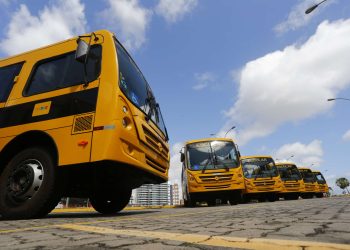 (Foto: Tiago Stille/Governo do Ceará)
