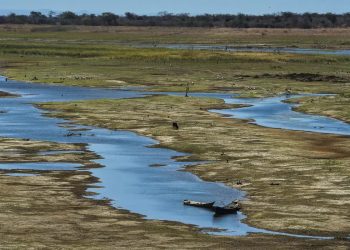 Consórcio Nordeste cria comitê para monitorar e enfrentar emergências climáticas