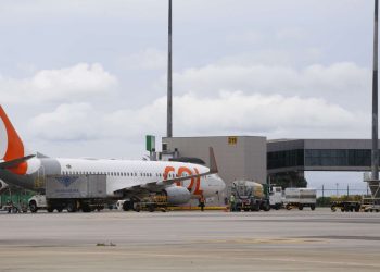 (Foto: Tiago Stille/Governo do Ceará)