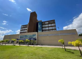 Cadela morre e menino de 12 anos fica ferido em ataque de pitbulls