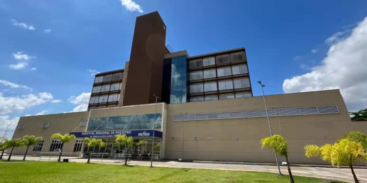 Cadela morre e menino de 12 anos fica ferido em ataque de pitbulls