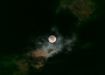 (Foto: Kenrick Mills/Unsplash)