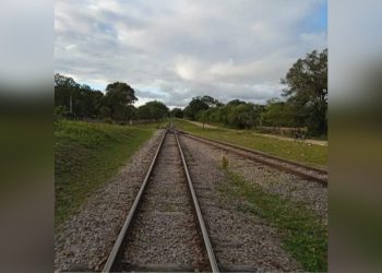 (Foto: Ronald Filho)