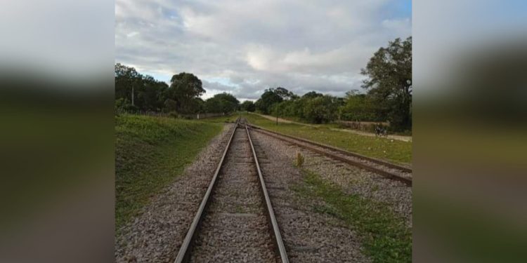 O trilho que segue a nossa vida – Por Fabiano Brito