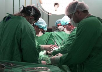 (Foto: Arquivo Sesa)