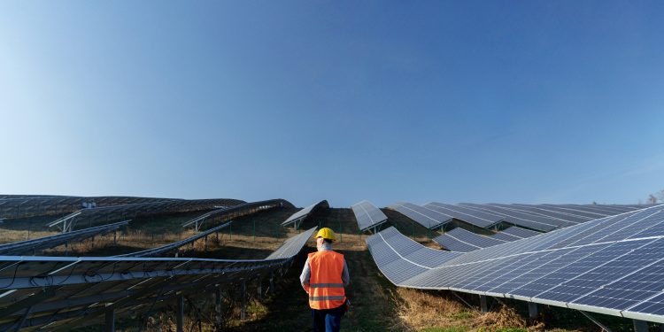 Complexo solar de R$ 1 bilhão reforçará geração de energia no Cariri em 2025; veja em quais cidades