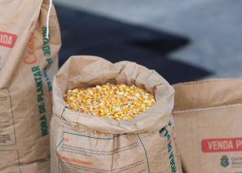 (Foto: Divulgação/SDA)