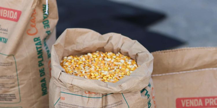 Governo do Ceará inicia distribuição de sementes do programa Hora de Plantar