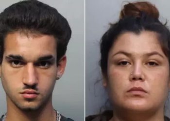 Presa engravida usando seringa com sêmen enviado por colega