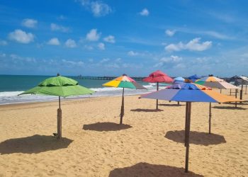 (Foto: Divulgação/Semace)