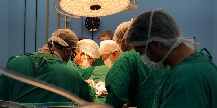 Ceará ultrapassa marca de dois mil transplantes de órgãos em 2024