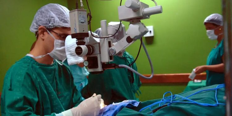 SUS alcança recorde histórico de cirurgias eletivas em 2024, mas desafios permanecem