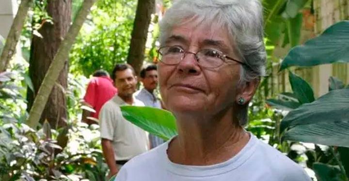 O pano bege de Anapu – Por J. Flávio Vieira