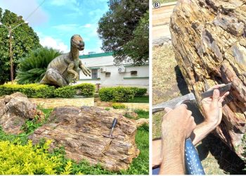 (Foto: Divulgação/URCA)