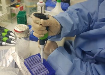 (Foto: Sumaia Villela/Agência Brasil)