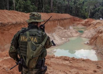 Seleção para o Ibama vai preencher oportunidades para Analista Administrativo e Analista Ambiental (Foto:  Divulgação/Ibama)