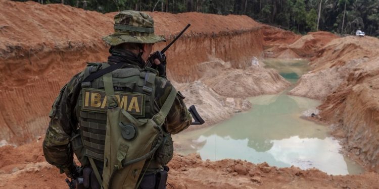 Concurso do Ibama: inscrições para 460 vagas com salário de até R$ 9,9 mil terminam hoje