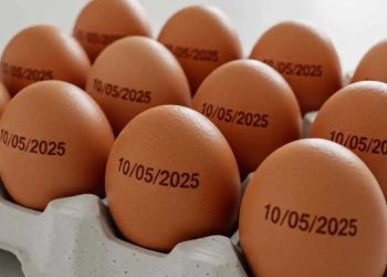 (Foto: Prefeitura de Palmas/Divulgação)