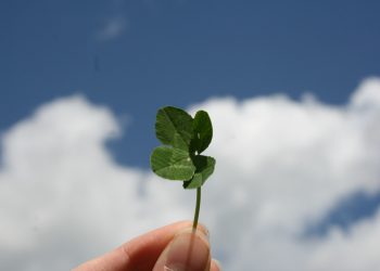 (Foto: Barbara Krysztofiak/Unsplash)