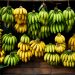 Yes, nós temos bananas! – Por J. Flávio Vieira