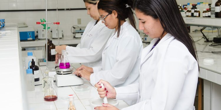 Fatecs e CVTecs abrem 505 vagas gratuitas para cursos superiores e técnicos no Ceará