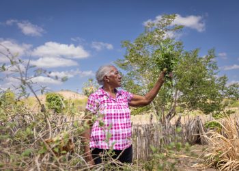 Centro Cultural do Cariri celebra 3 anos com festa de memória, arte e tradição popular
