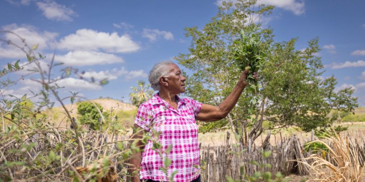 Centro Cultural do Cariri celebra 3 anos com festa de memória, arte e tradição popular