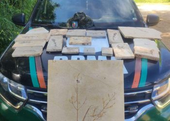 (Foto: Divulgação/SSPDS)