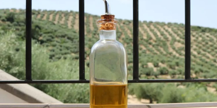 Anvisa proíbe venda de mais duas marcas de azeite por origem desconhecida e CNPJ encerrado