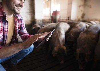 Campanha foi iniciada no último dia 2 de maio e segue até o dia 30 de junho (Foto: Freepik)