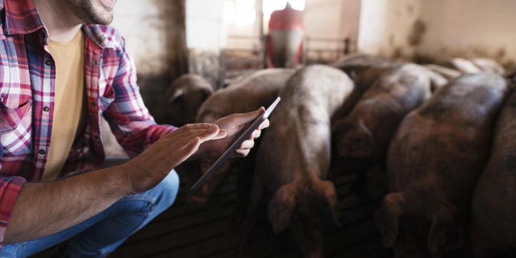 Atualização cadastral obrigatória para produtores rurais do Ceará segue até 30 de junho