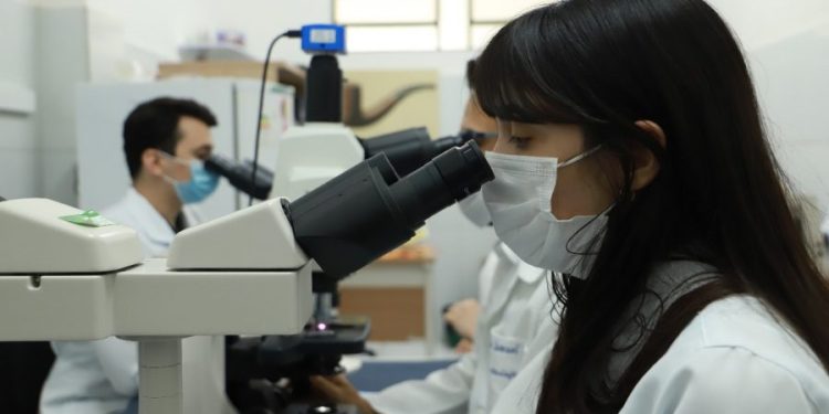 UFCA abre inscrições para Mestrado em Ciências da Saúde com foco em doenças infecciosas