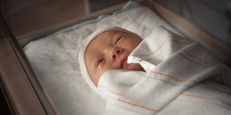 Bebês reborn e os labirintos da mente humana – Por Mirta Lourenço