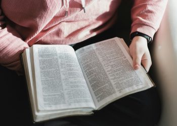 Os dados foram divulgados pelo Instituto Brasileiro de Geografia e Estatística (IBGE) na manhã desta sexta-feira (6) (Foto: Alexandra Fuller/Unsplash)