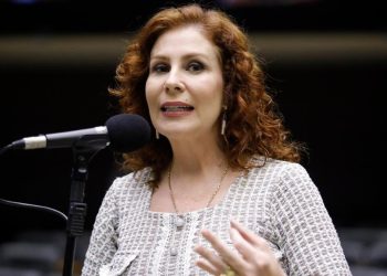 Deputada Carla Zambelli (PL-SP) (Foto: Mário Agra/Câmara dos Deputados)