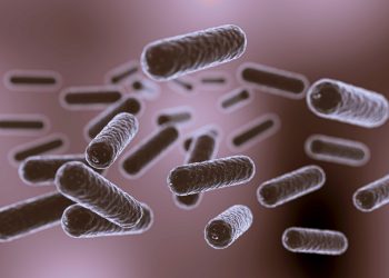 Pesquisadores transformam plástico em paracetamol com ajuda de bactéria geneticamente modificada