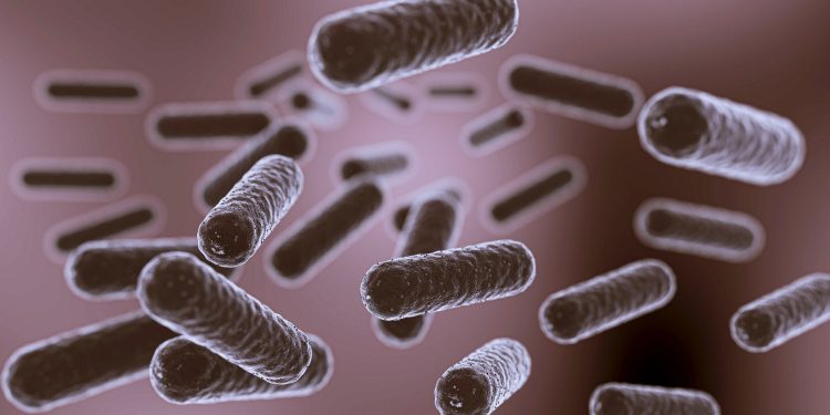 Pesquisadores transformam plástico em paracetamol com ajuda de bactéria geneticamente modificada