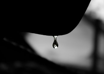 Sal das minhas lágrimas – Por Fabiano Brito